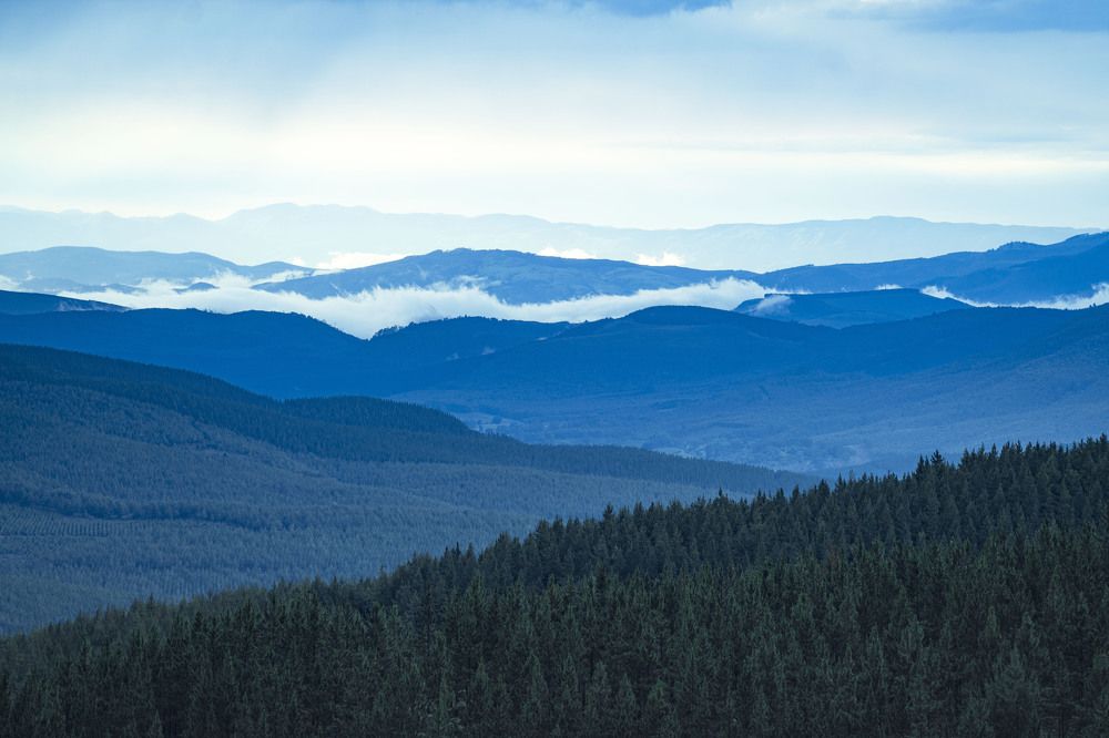 Photograph by Esmaeil Razaghi