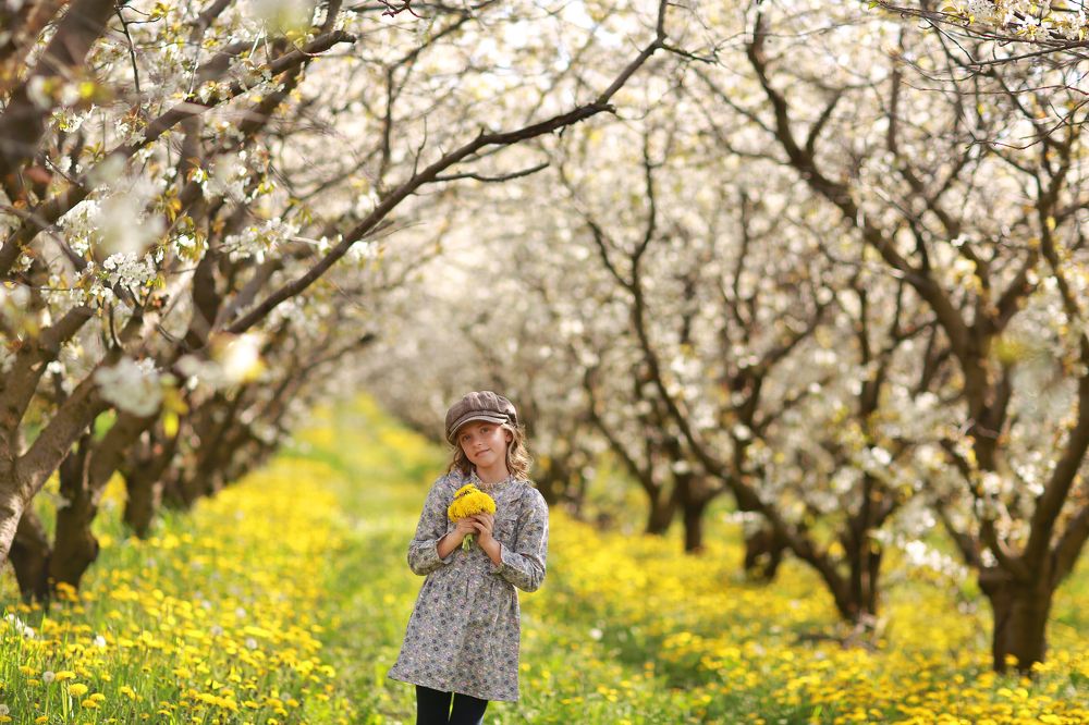 Photograph by Александра Мартынова