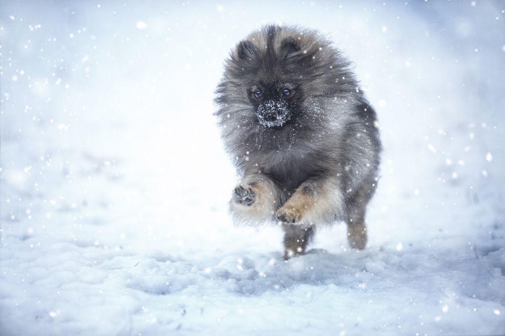 Фотография автора Katerina Mumzhinskaya