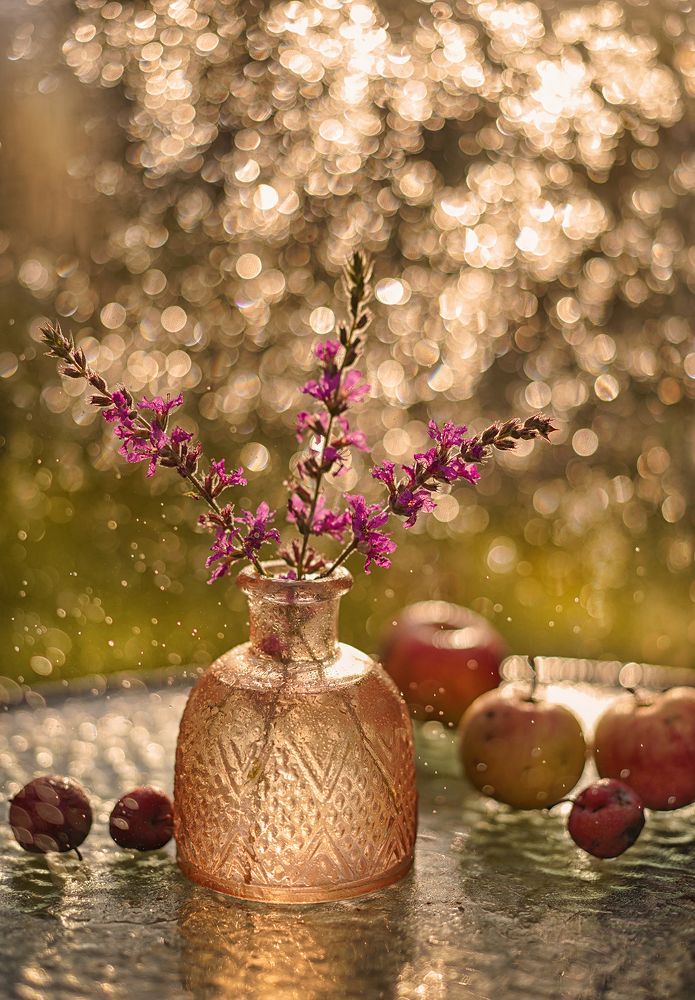 Photograph by Татьяна Александрова