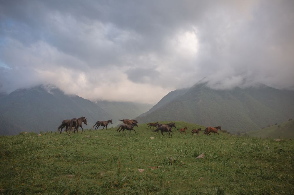 Мухинское ущелье