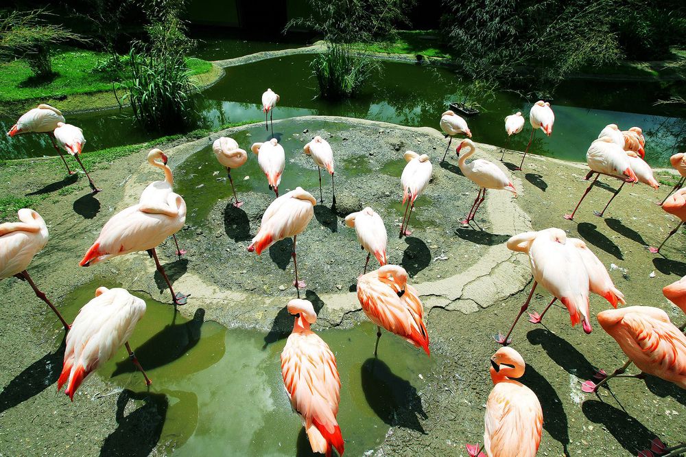 Photograph by Adriana d'Avila