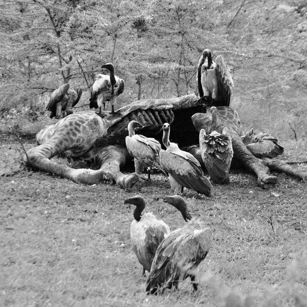 Photograph by Sandra Bruttomesso