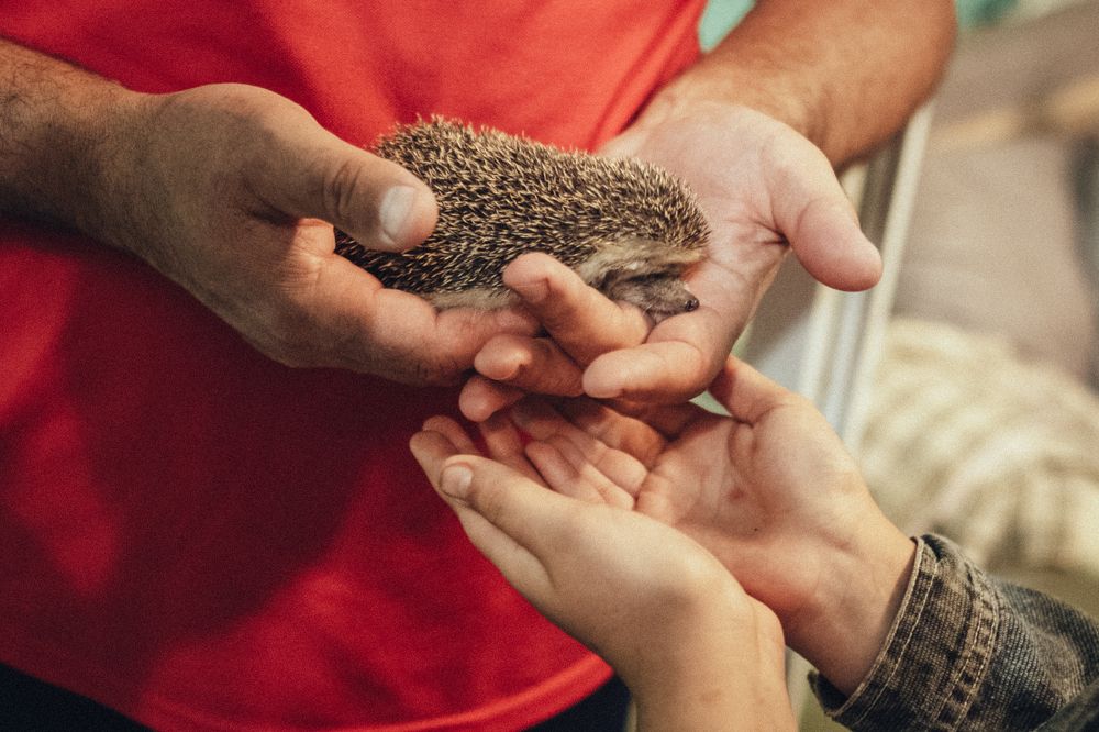 Photograph by Ольга Владимировна