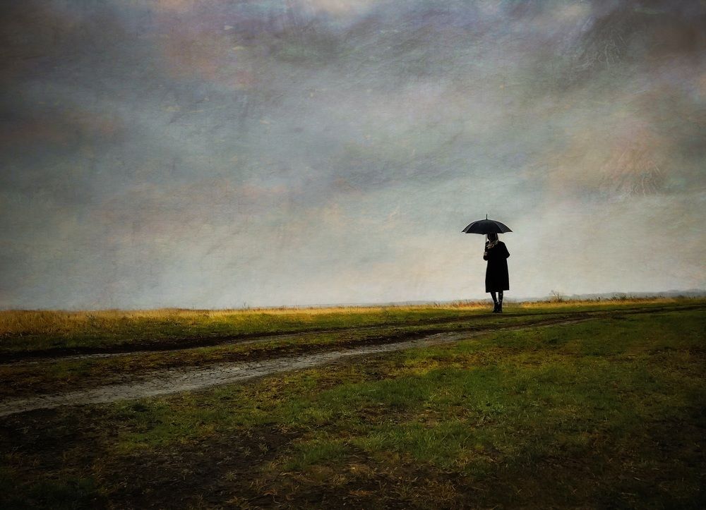 Дорога домой