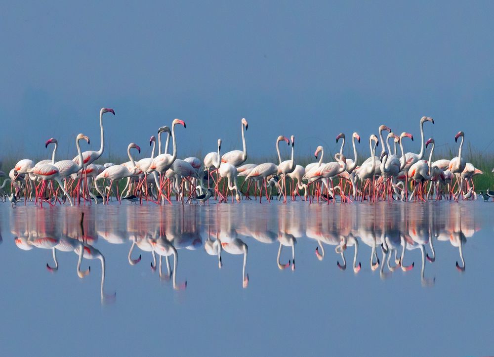 Photograph by Bibhas Deb