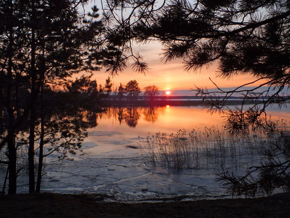 Photograph by Дмитрий Крылов