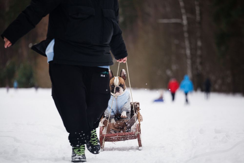 Зимние забавы