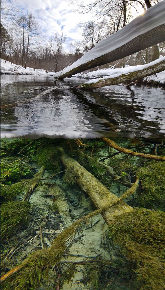 Фотография автора Эдуард VTORNIK  Николаев