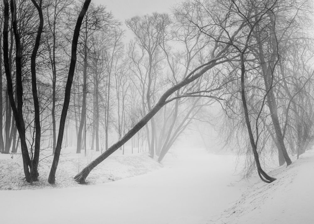 Photograph by Евгений Волосков