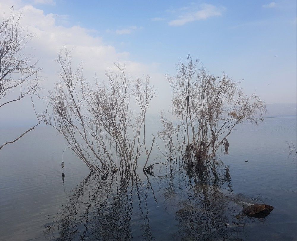 Фотография автора Ася Бабушкина