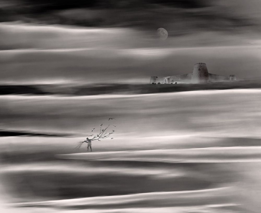 Photograph by amin kojoori