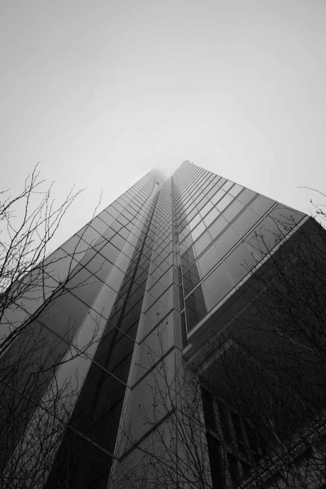 Photograph by Ash Amadian