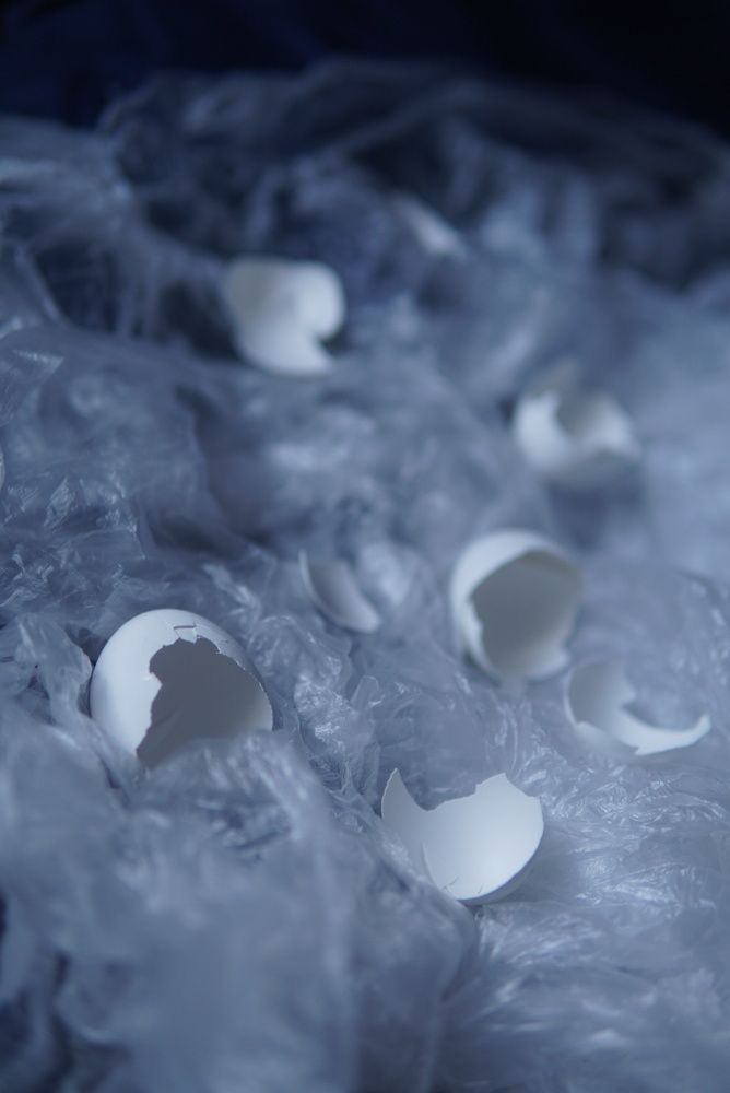 Photograph by Lisa Buzova