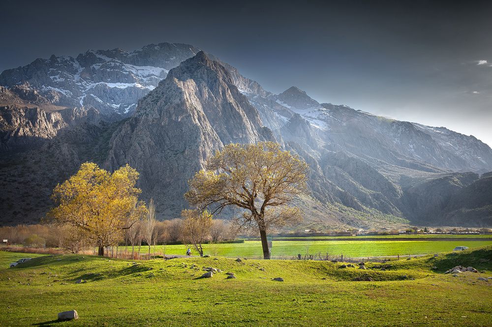 Photograph by Amir Eivany