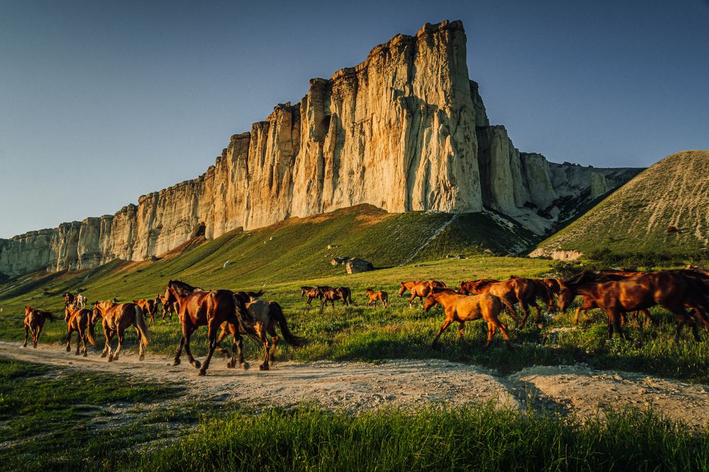 Photograph by Татьяна Сафрошкина