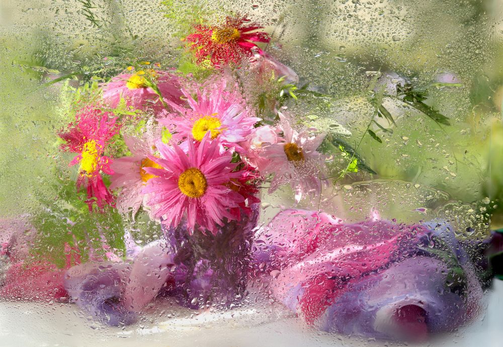 Photograph by Шруб (Беляева) Татьяна