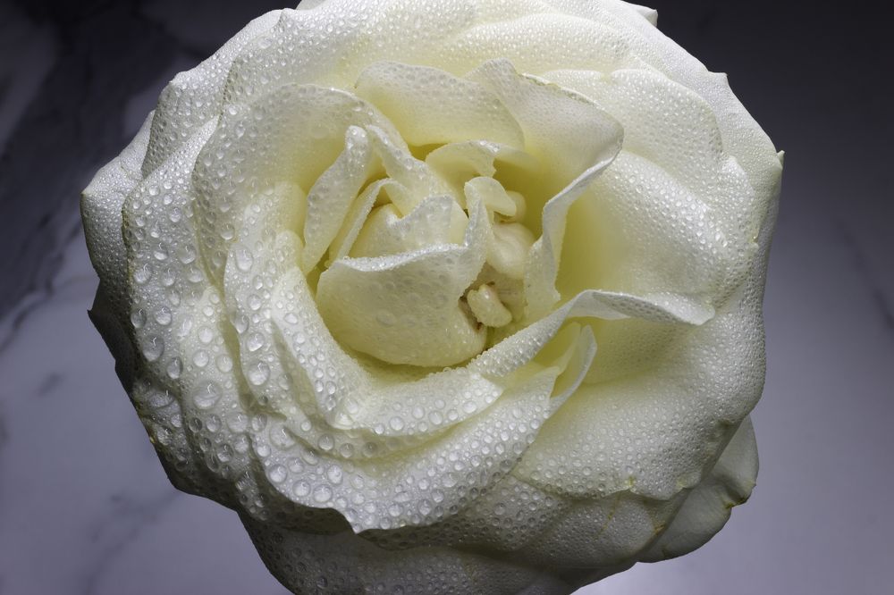 Photograph by Вадим Ковалев