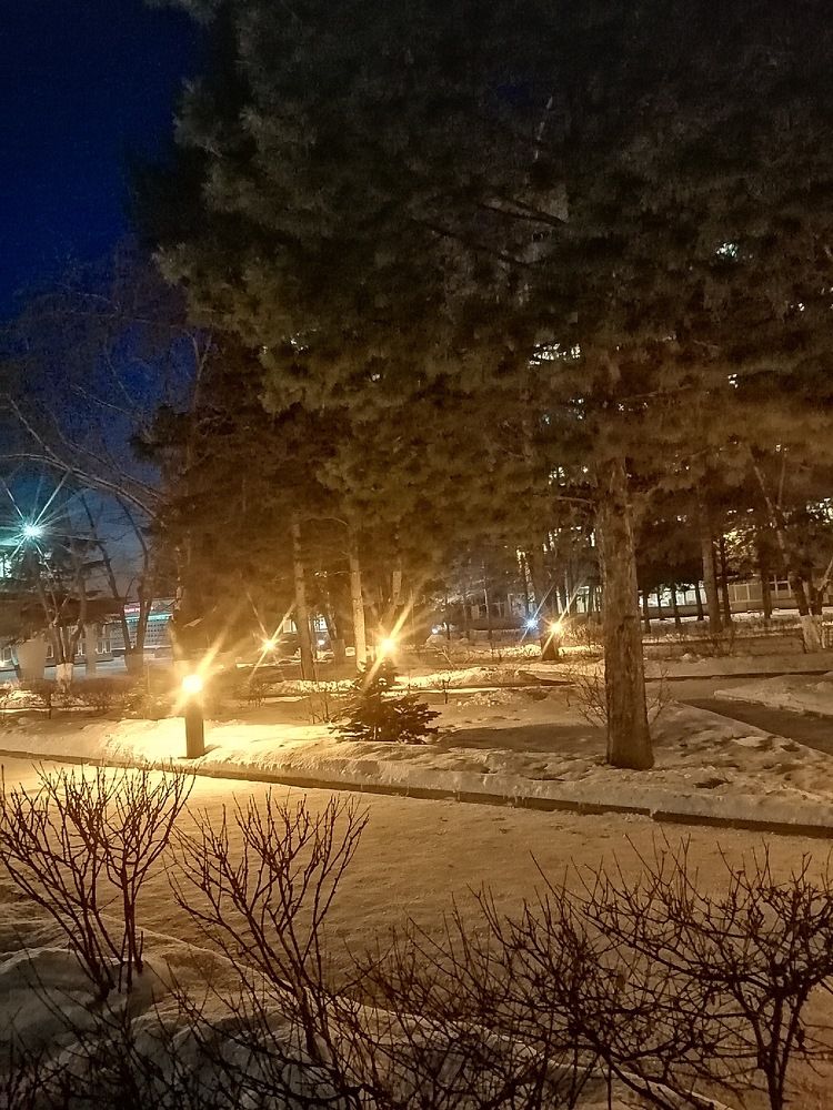 Photograph by Елизавета Загудаева