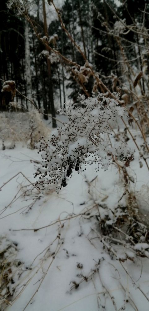 Photograph by Елизавета Загудаева