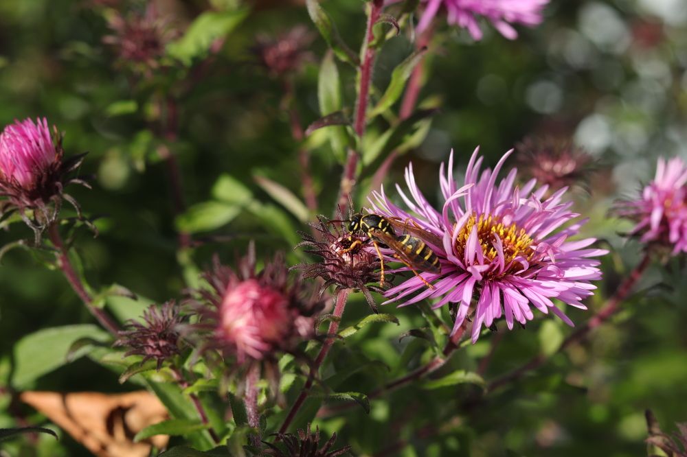 Photograph by Светлана Соколова