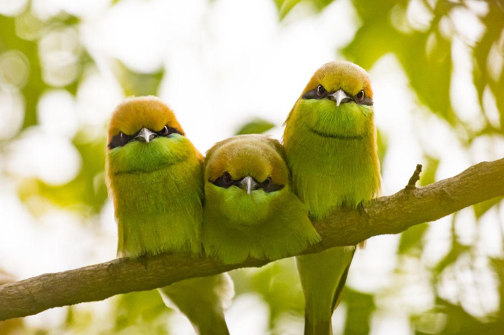 Photograph by Mohit Kulkarni