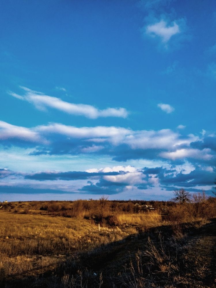 Photograph by Larisa