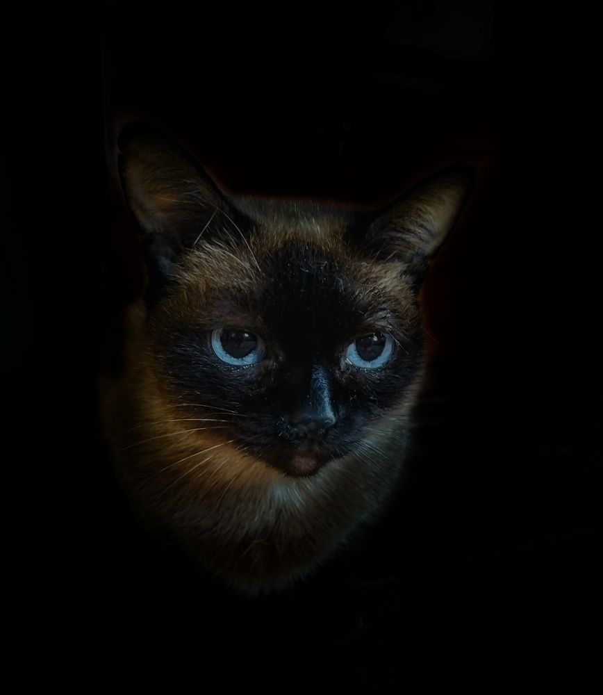 Photograph by Larisa