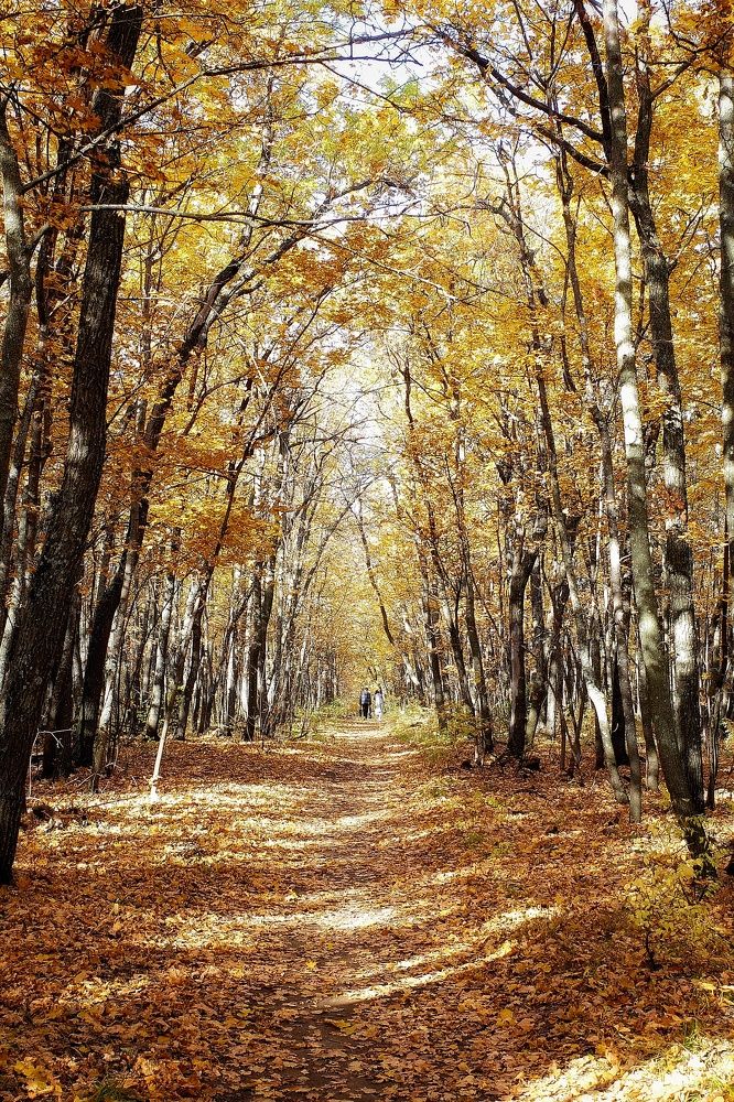 Photograph by Алла