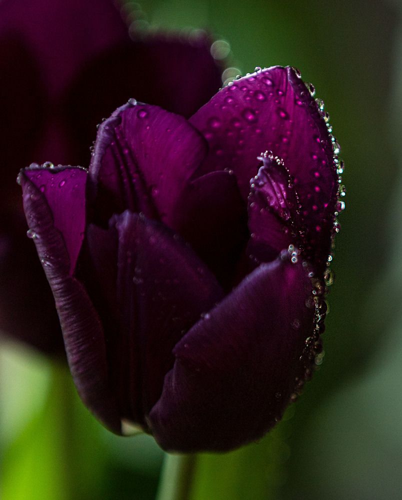 Photograph by ИРЕНА Федорова