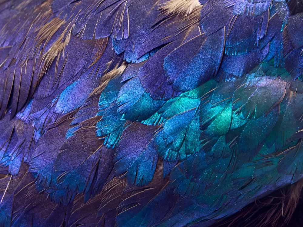 Photograph by Светлана Воробьева