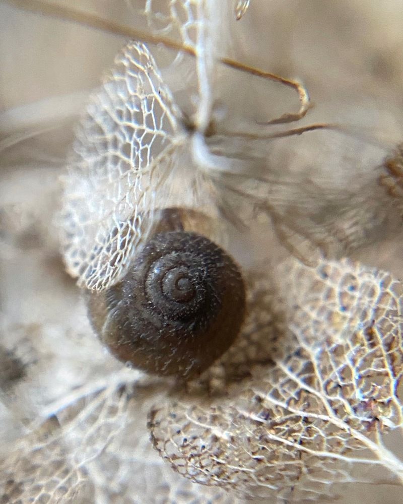 Photograph by Анастасия Куэлляр