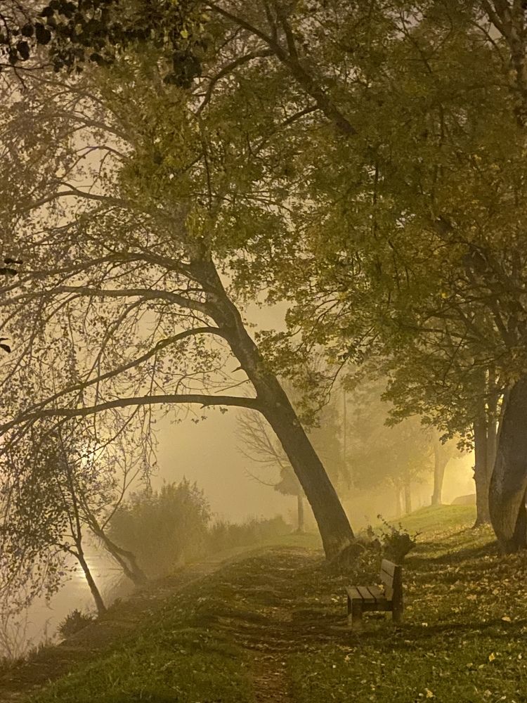 Photograph by Анастасия Куэлляр