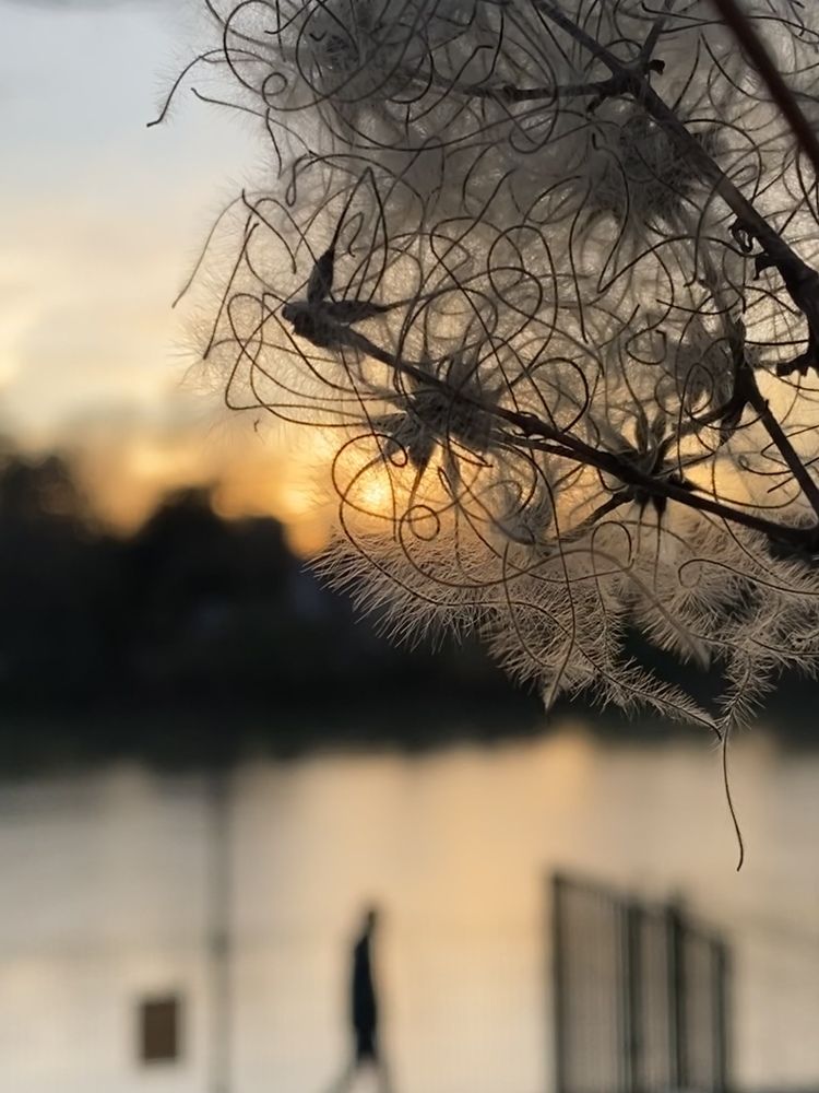 Photograph by Анастасия Куэлляр