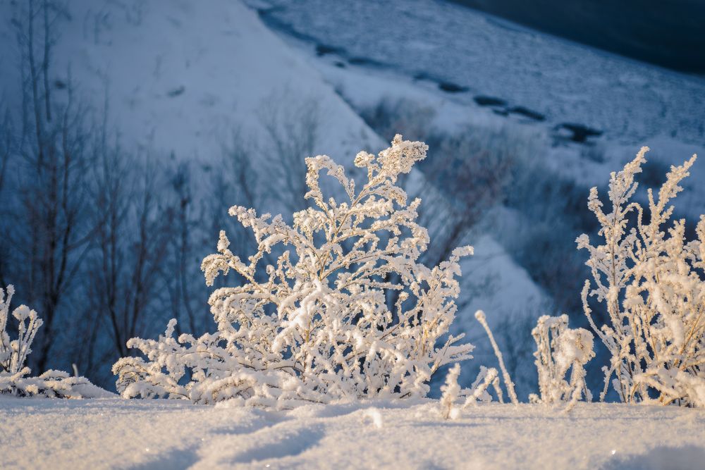 Photograph by Елена Маслова