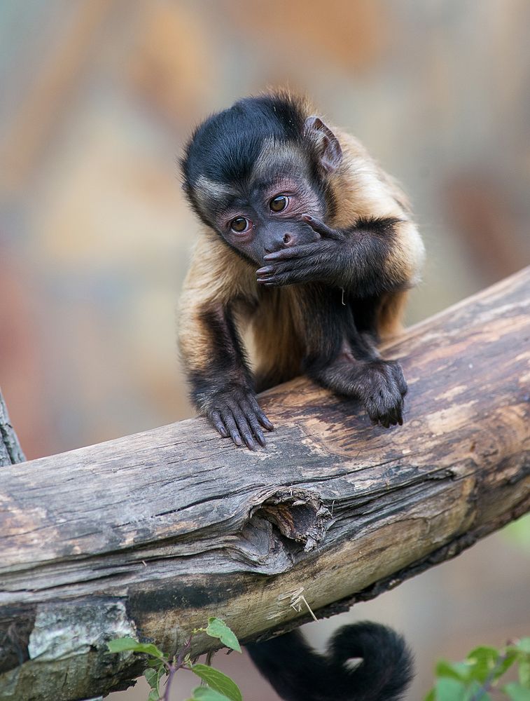 Photograph by Татьяна Москальчук