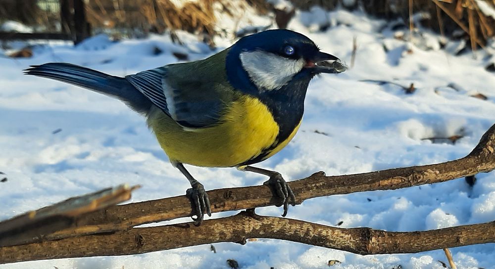 Photograph by Леонид Борисенко