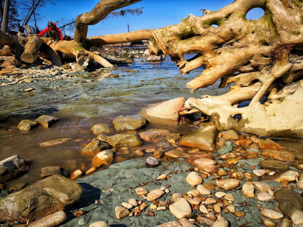 Photograph by Alla Roslova