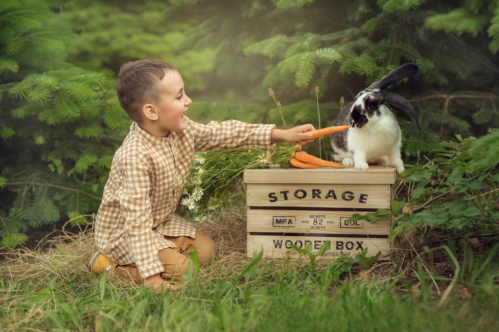 Photograph by Ольга Валек