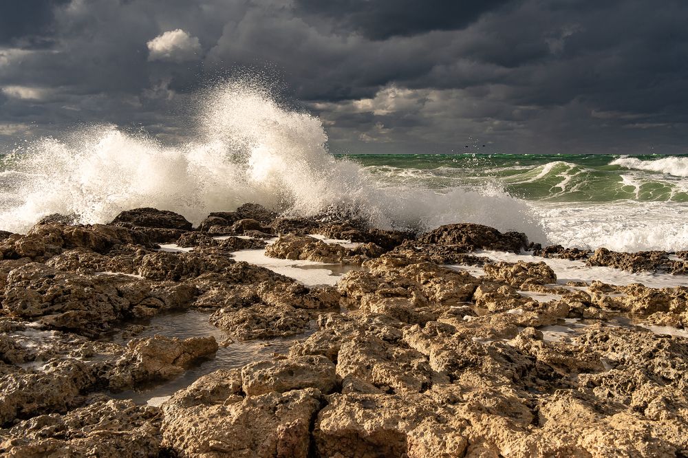 Photograph by Владимир Гавриленко