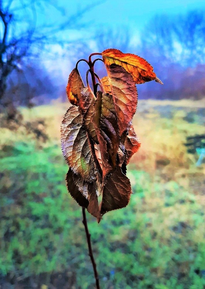 Photograph by Леонид Борисенко