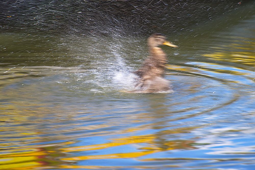 Photograph by Сергей Богородский