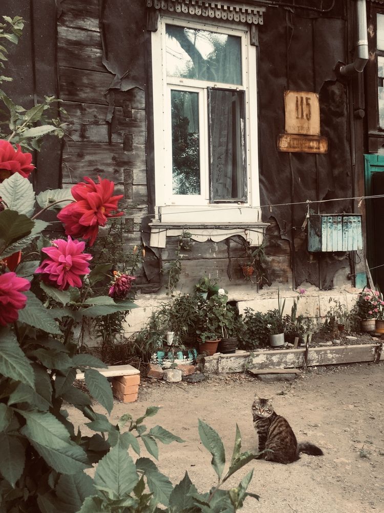 Photograph by Татьяна Безгачёва