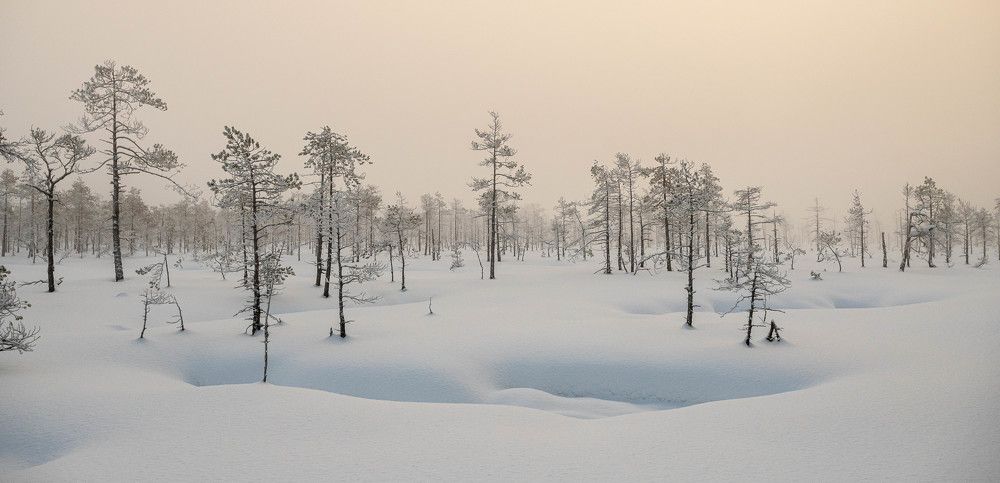 Photograph by Danil Husainov