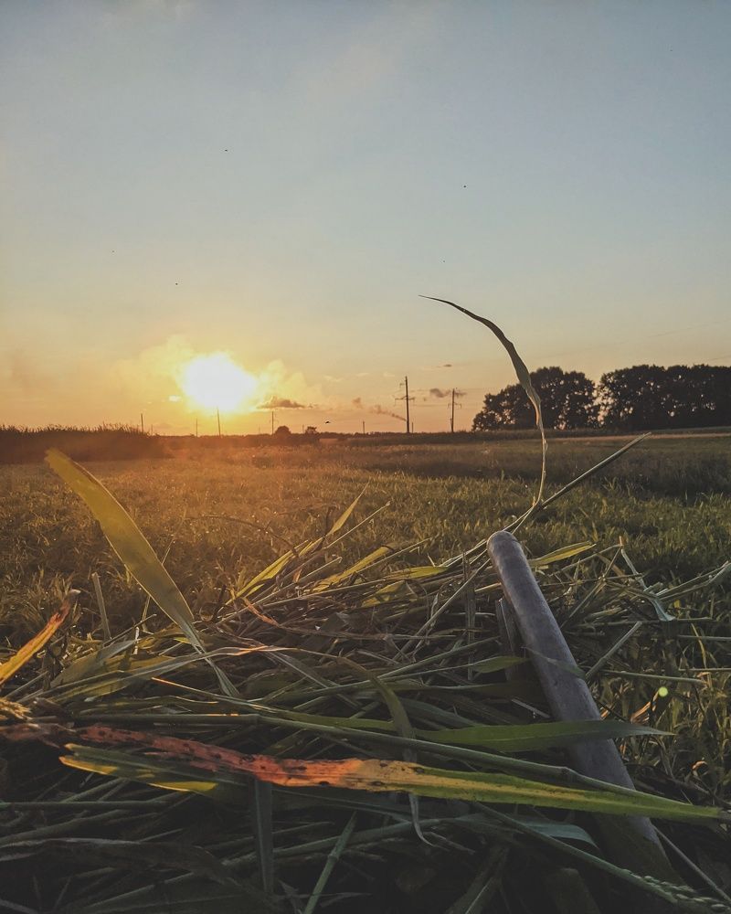 Photograph by Сергей Скарженюк