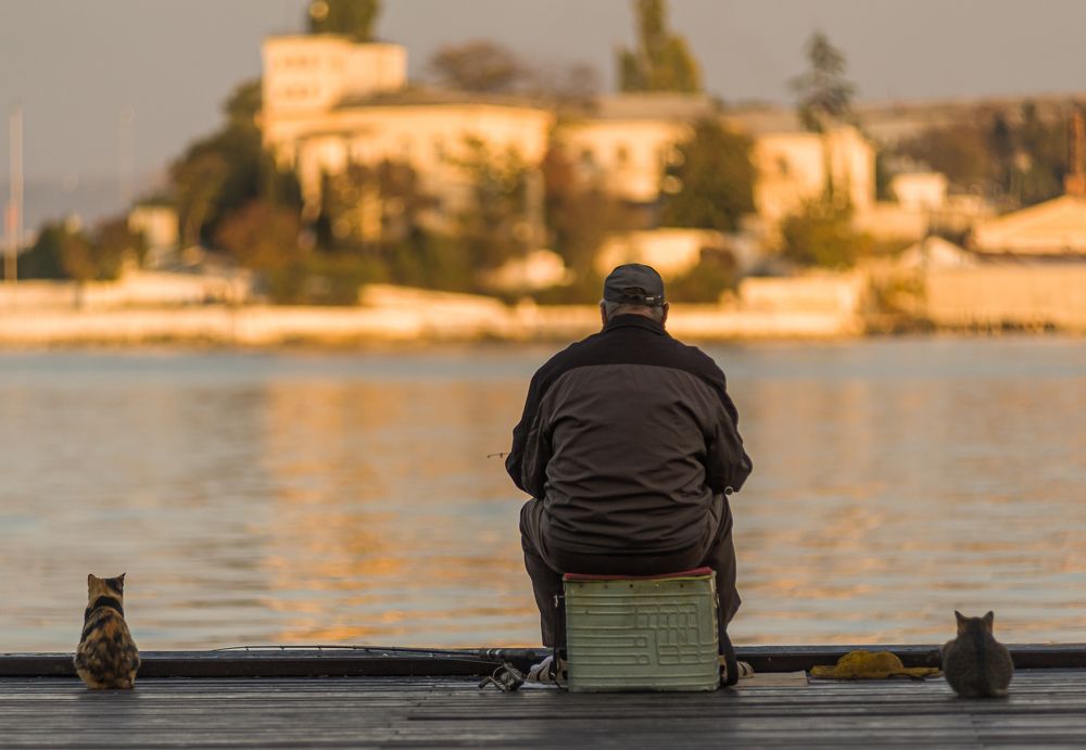 Photograph by Владимир Гавриленко
