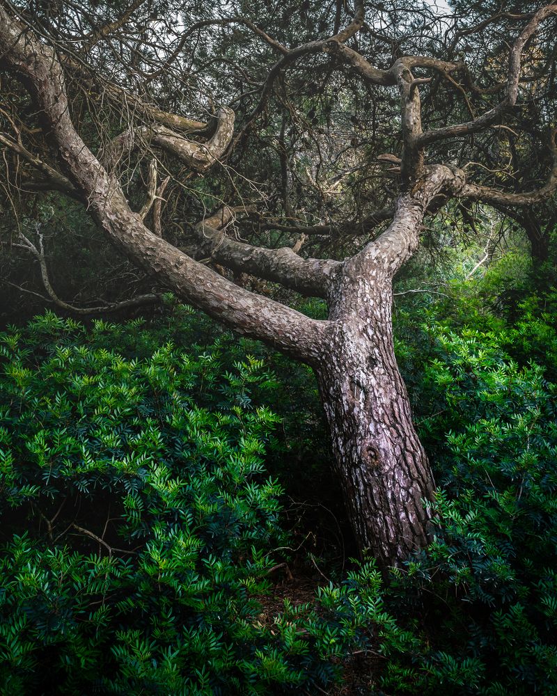 Photograph by Amine Be Romdhane