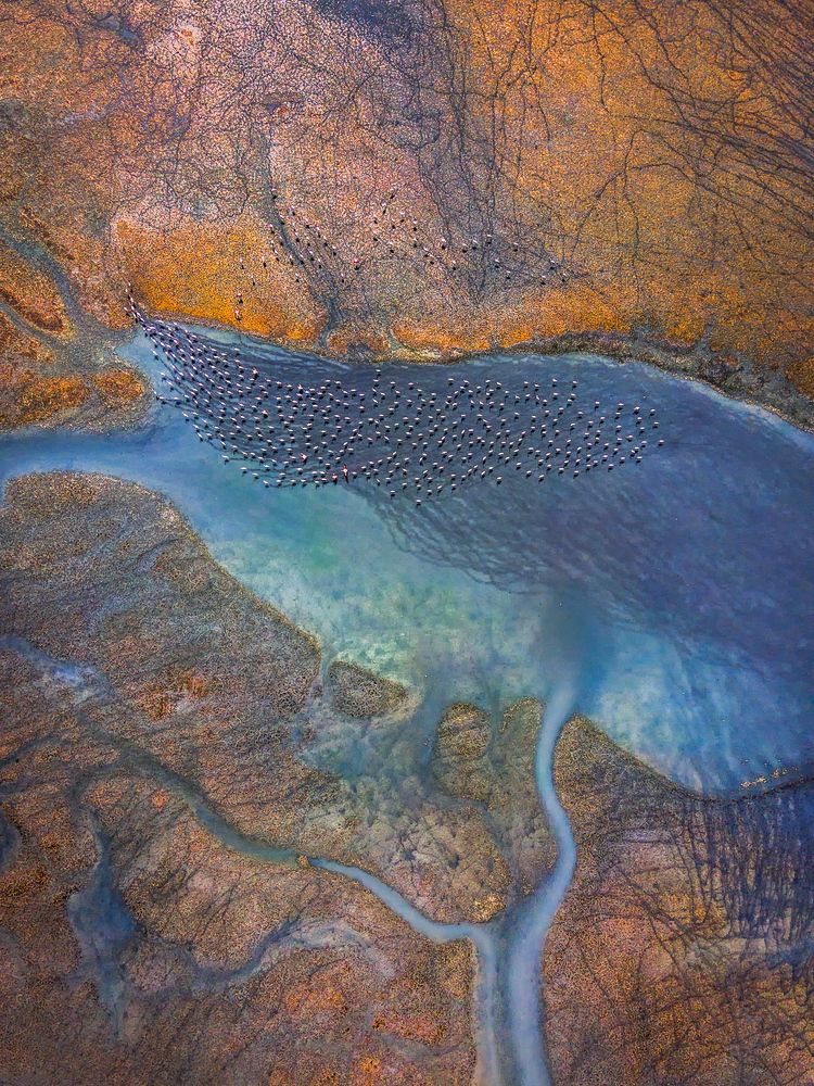 Photograph by Kani (kanipolat.com) Polat