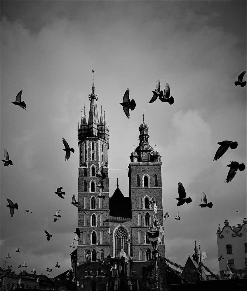 Photograph by Anna Zima