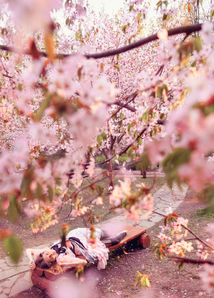 Фотография автора Diana Evseeva